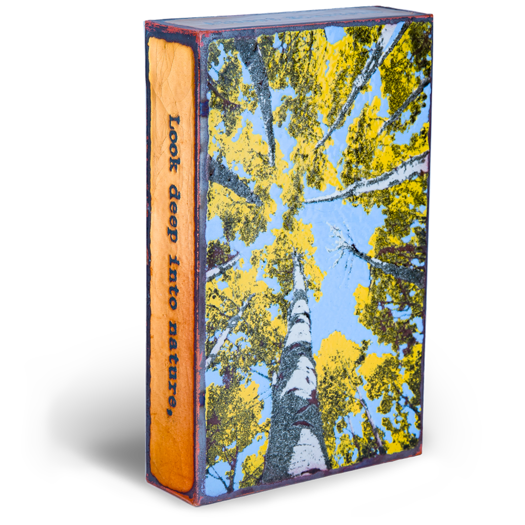 Houston Llew - Spiritile - 208 Depth Perception