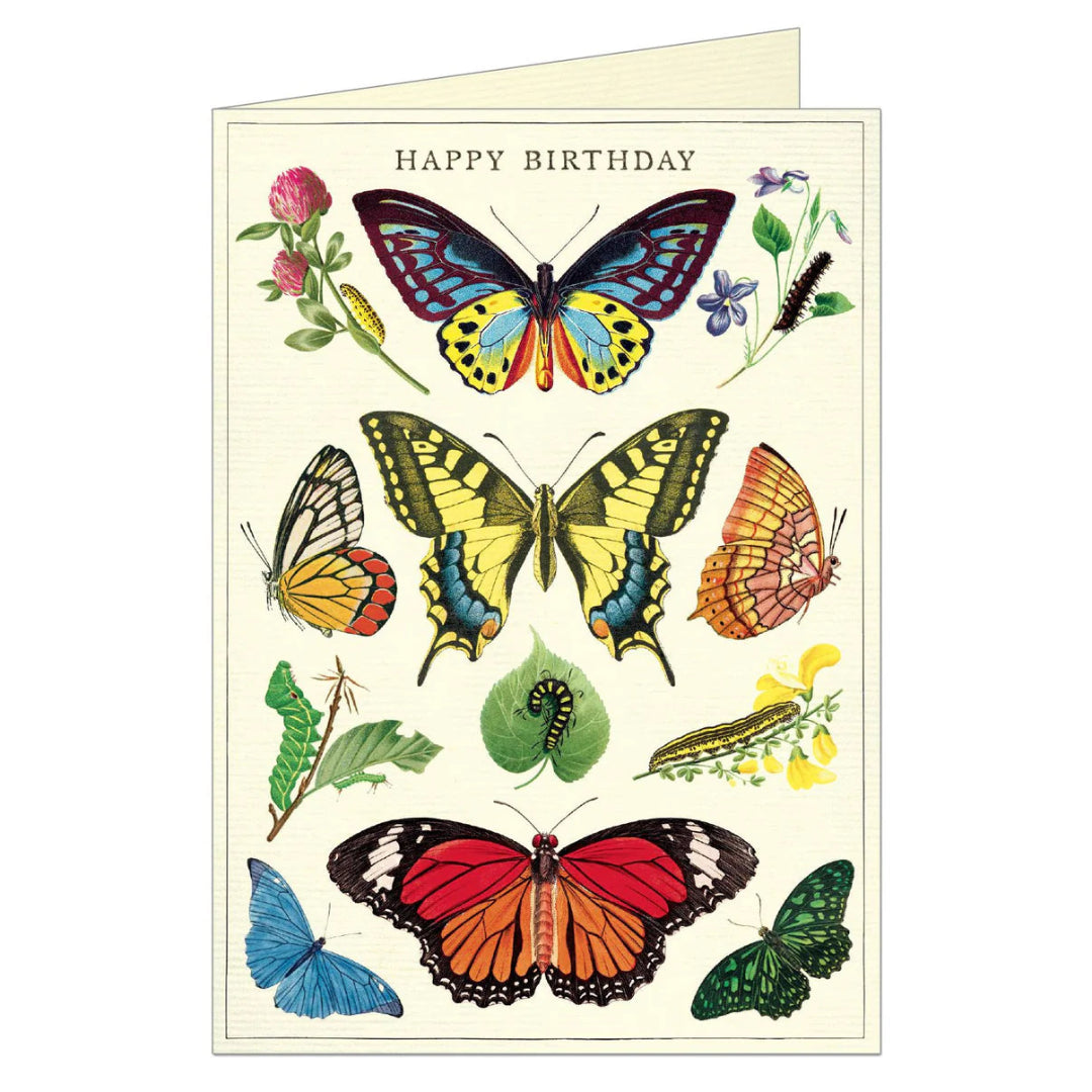 Papillons 1 Carte de voeux