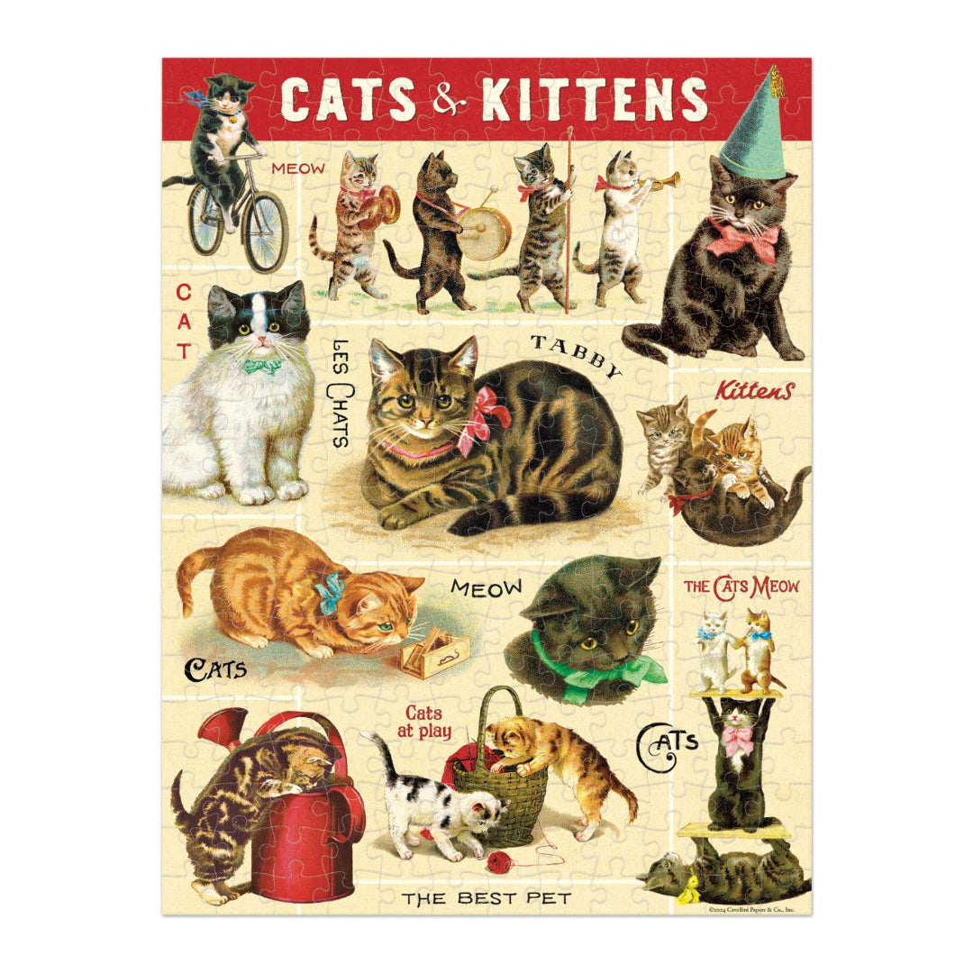 Puzzle 1000 pièces Chats