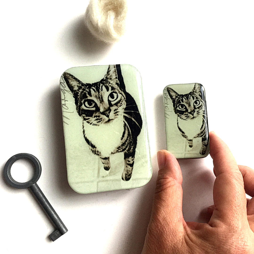 Petite boîte en fer blanc pour chat