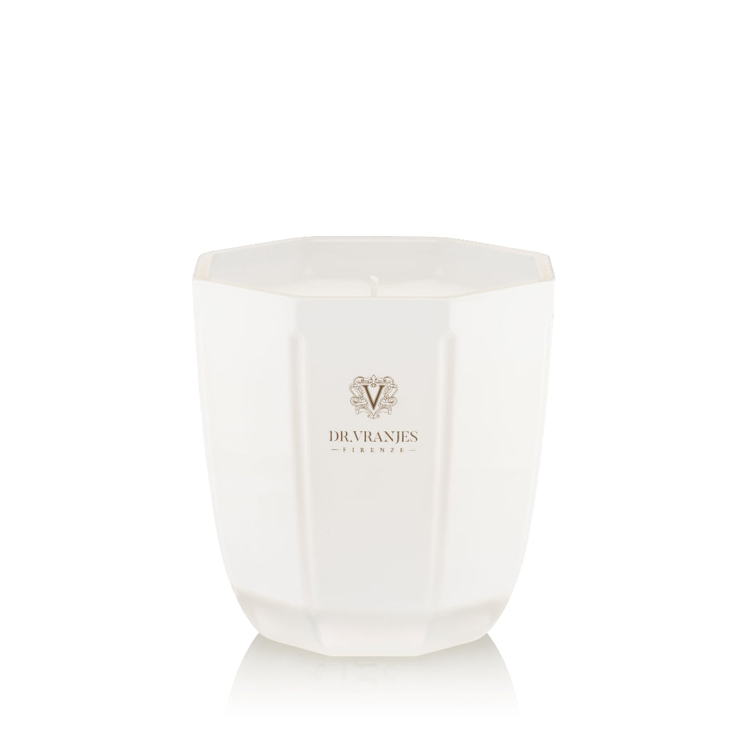 Dr. Vranjes - Bougie parfumée au gingembre et au citron vert