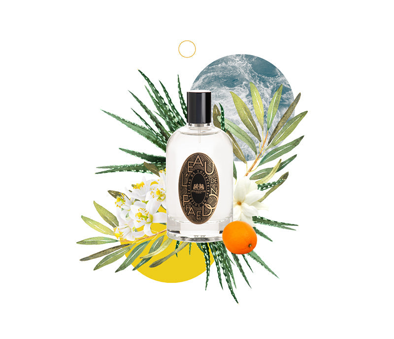 Phaedon Paris - Eau de Toilette l'Eau de Phaedon