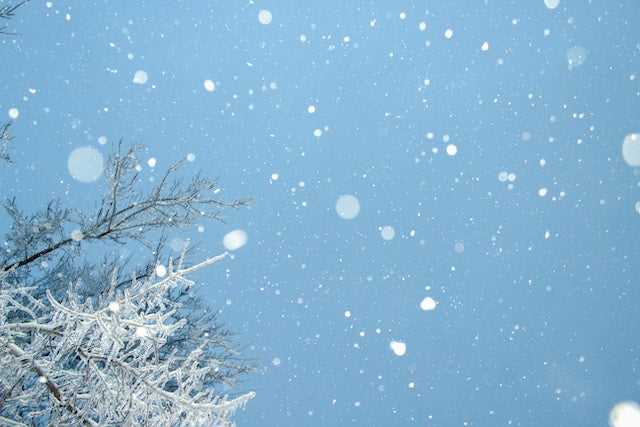 4 Must-Have Skincare Essentials for Winter - Unsplash image