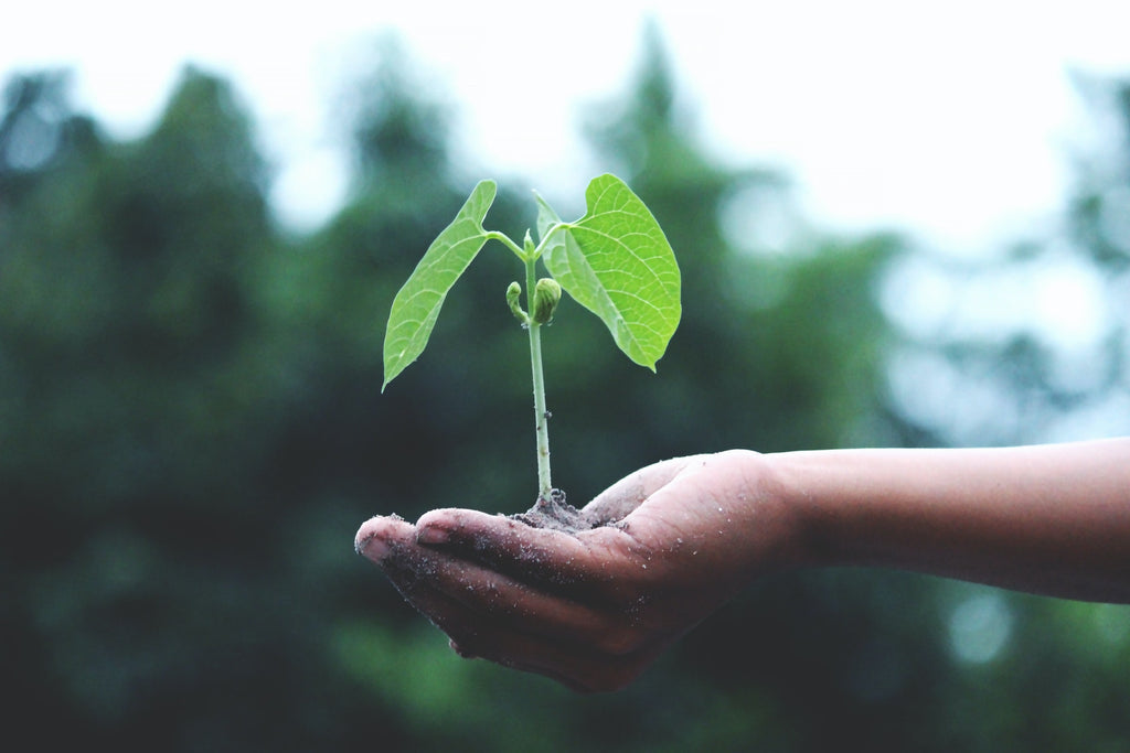 How to Shop More Eco-Friendly