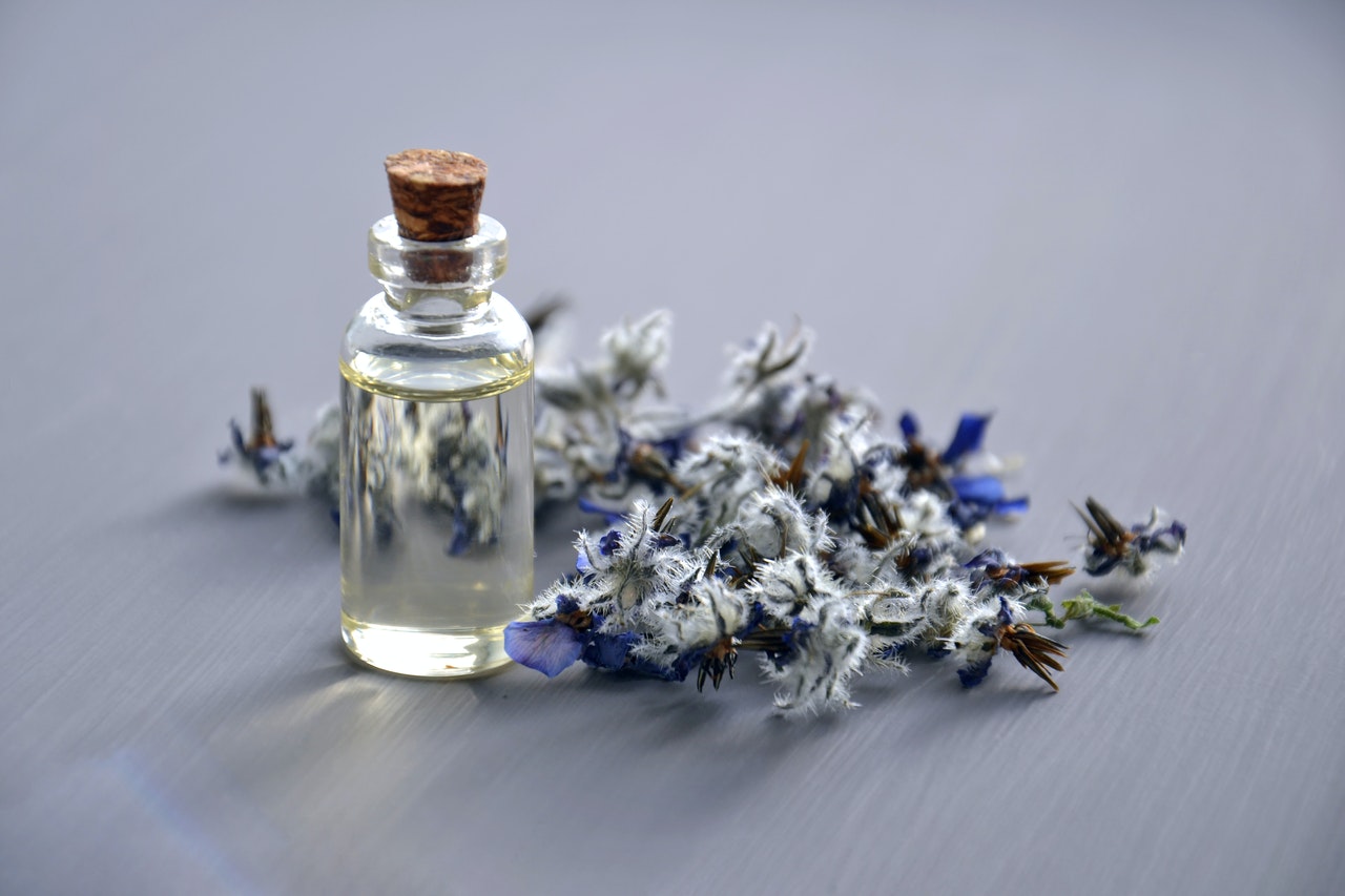 Exploring Perfume: Then & Now - Pexel Image