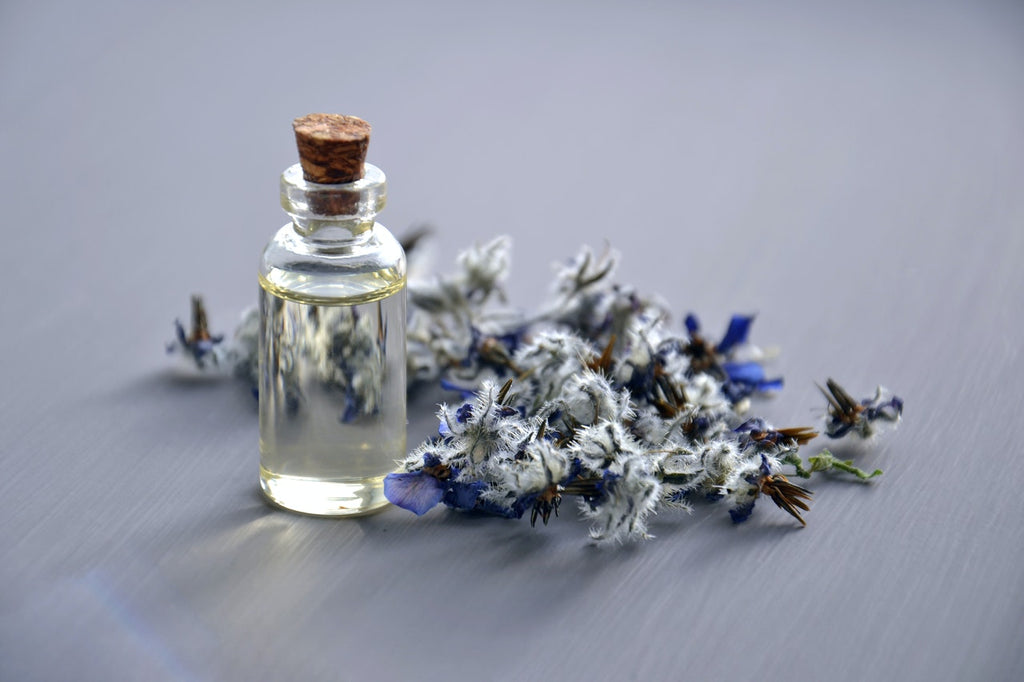 Exploring Perfume: Then & Now