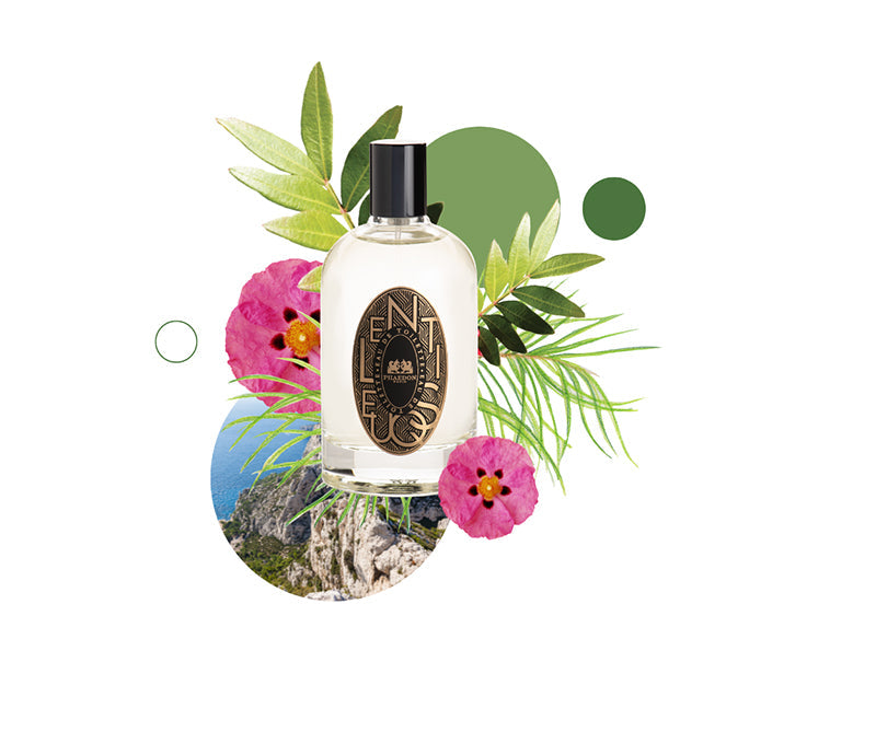 Phaedon Paris - Eau de Toilette Lentisque