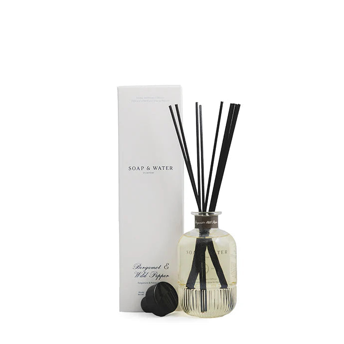 Diffuser bottle with black sticks and packaging on a white background