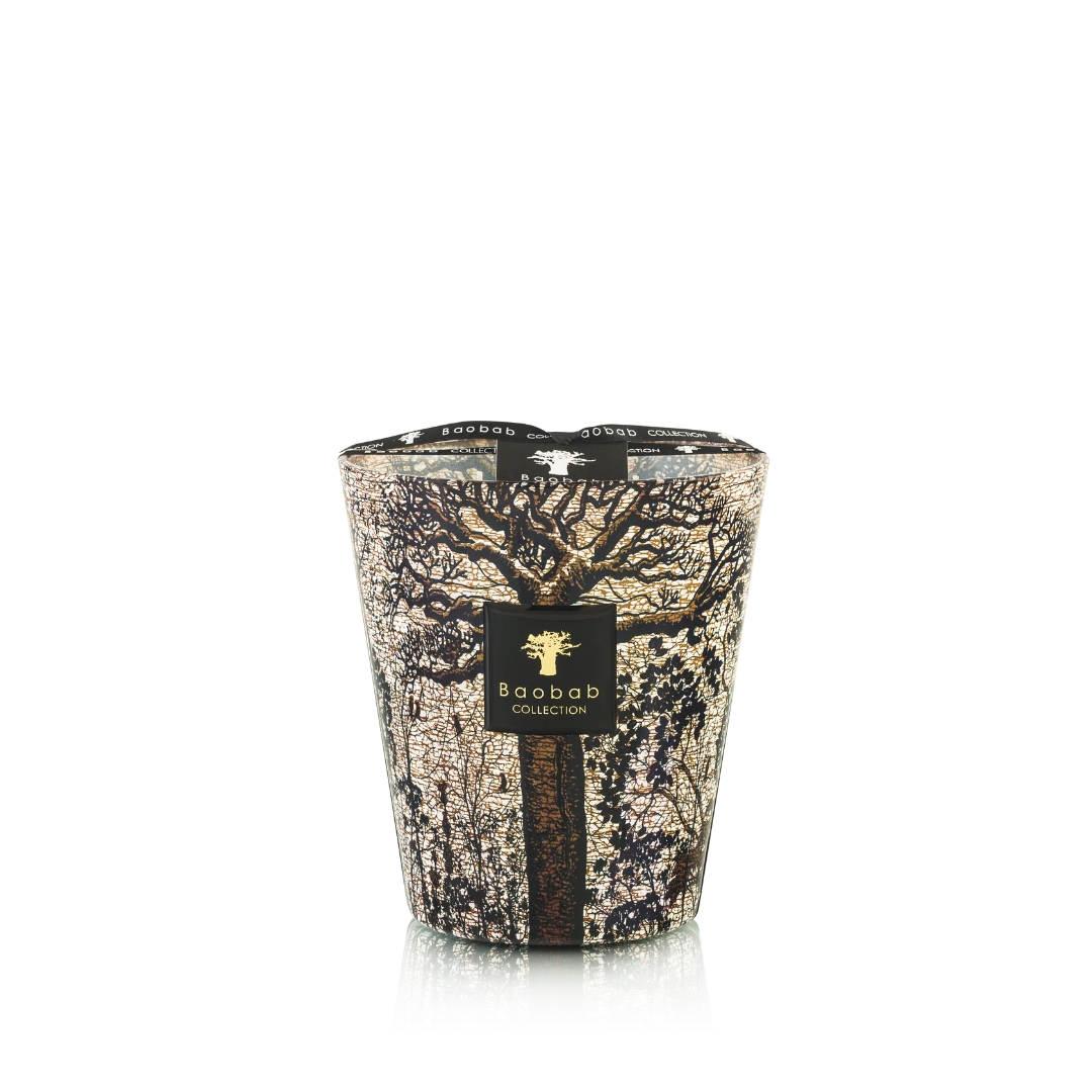 Baobab Collection - Sacred Trees Morondo