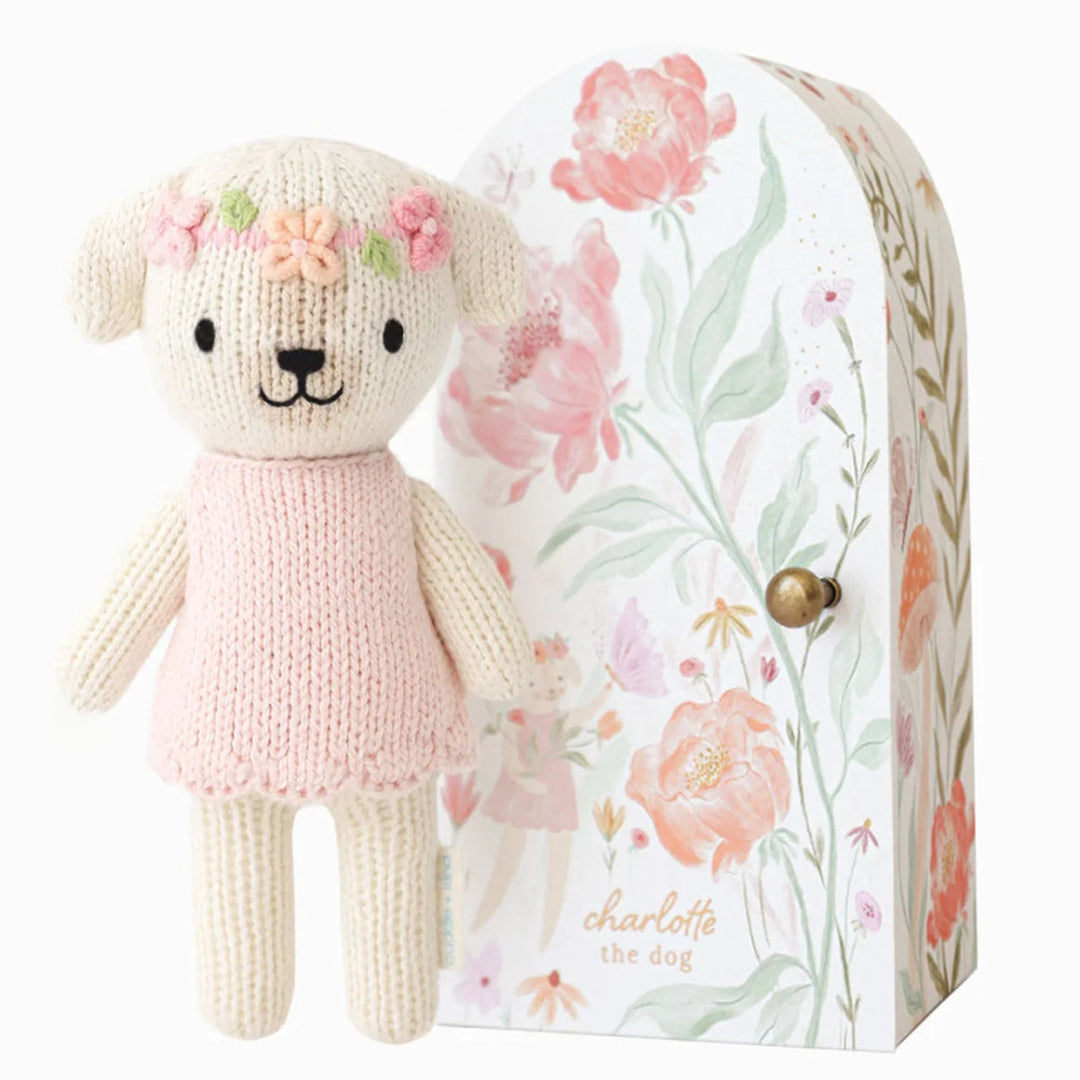 A knitted teddy bear dog with a pink dress and flower crown stands in front of its floral-patterned gift box. The box features pink flowers, green leaves, and the text 'charlotte the dog' 