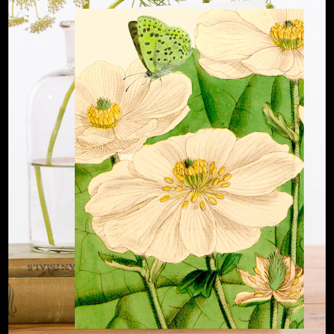 Madame Treacle - Blank Botanical Greeting Card