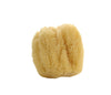 Natural Sea Sponge - Belle De Provence