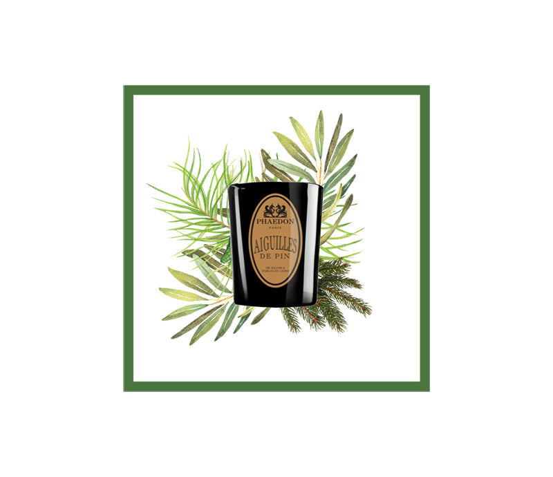 Aiguilles de Pin Scented Candle 190g