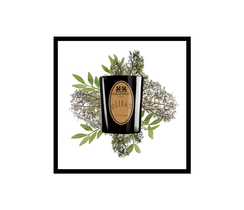 Oliban Scented Candle 190g