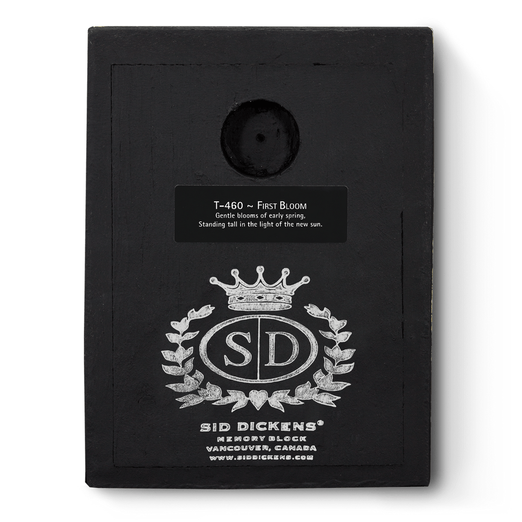 Sid Dickens - T460 First Bloom - Belle De Provence